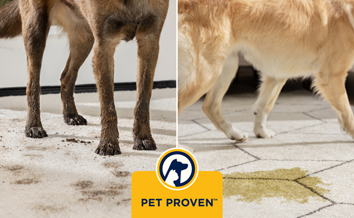 Certifié Pet Proven™